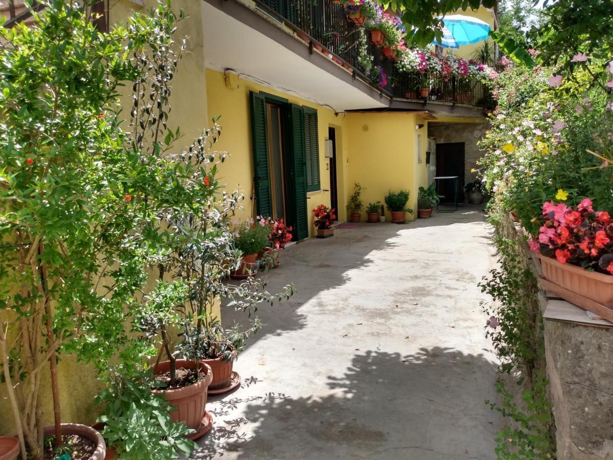 Giallo Sole Colleferro Ngoại thất bức ảnh
